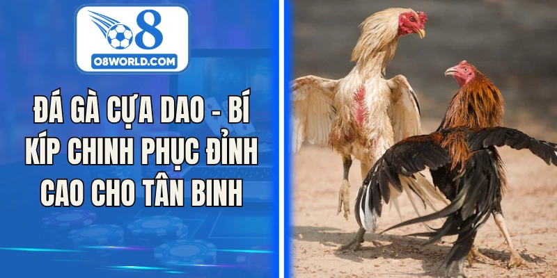 Đá Gà Cựa Dao - Bí Kíp Chinh Phục Đỉnh Cao Cho Tân Binh