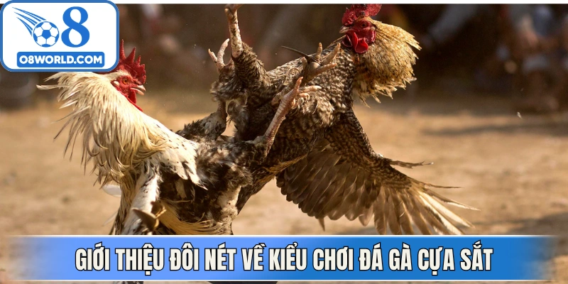 Giới thiệu đôi nét về kiểu chơi đá gà cựa sắt
